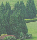 网页攻击器教程