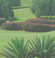 网页攻击器教程